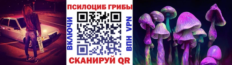 Галлюциногенные грибы Psilocybe нарко площадка Telegram Покачи